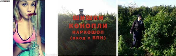 a pvp Новочеркасск