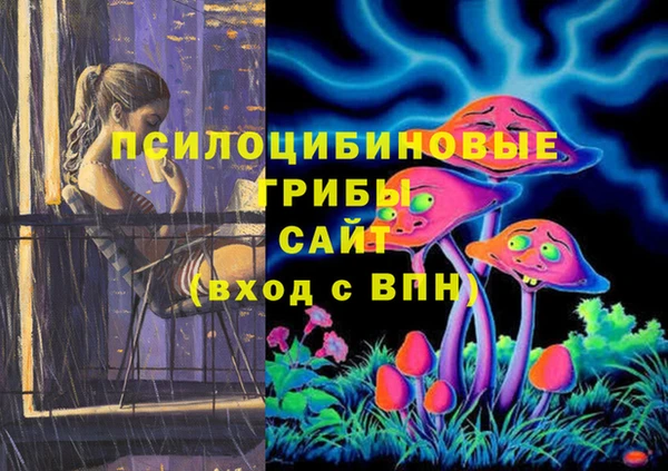 ECSTASY Липки