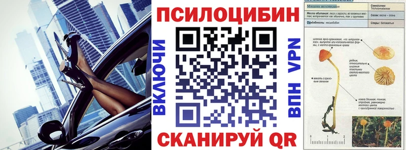 Псилоцибиновые грибы мицелий  Приволжский 
